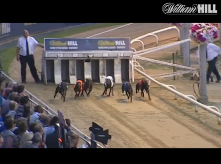 hondenraces william hill